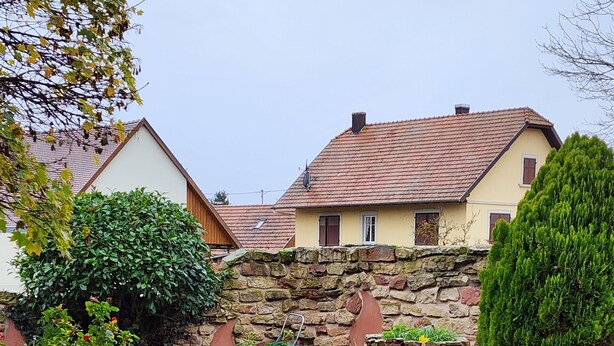 A courtyard with a stone wall, a small tree, and a brick pathway. - LUPULUS" apartment.  Ideal for a family holiday (Bilwisheim)