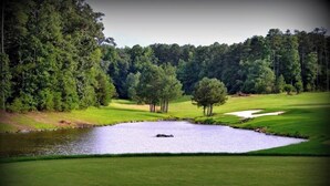 Un campo de golf con un estanque, árboles y cielo despejado.