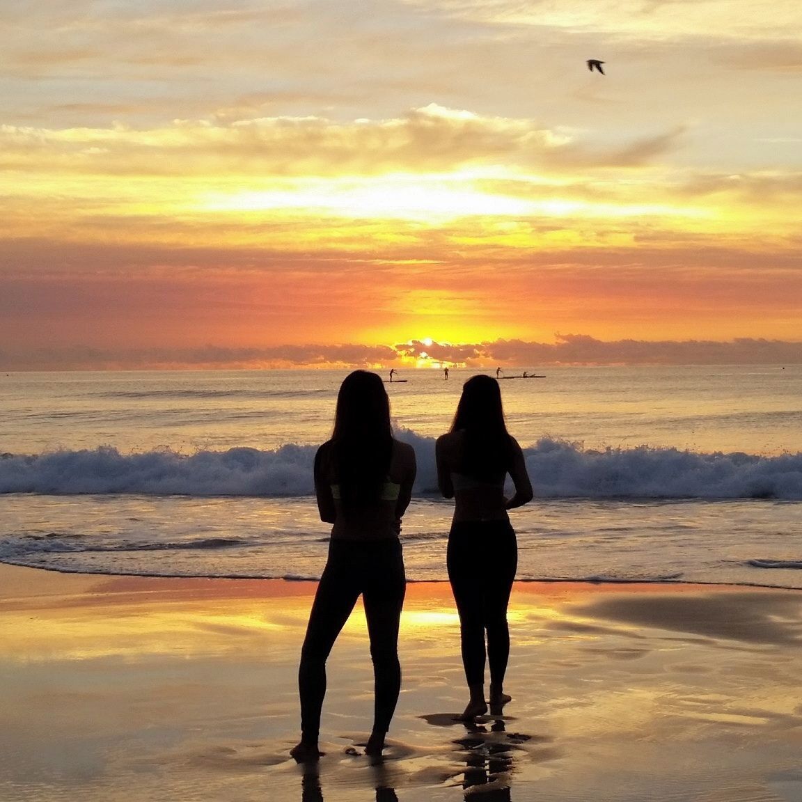 Playa