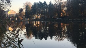 Un lago tranquilo con reflejos de árboles y un edificio al fondo.