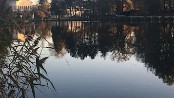Miscellaneous