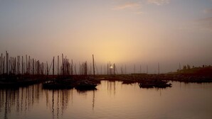 Un port de plaisance où sont amarrés de nombreux bateaux, avec une eau calme et un coucher de soleil en arrière-plan.