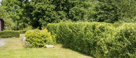 Overnatningsstedets område