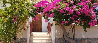 500m from the sea, with a nice view, bi
g yard Admire the sunrise.