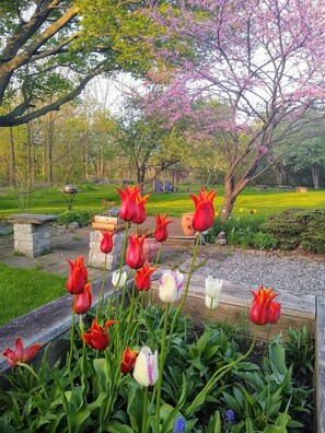 Áreas de la propiedad
