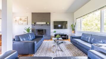 Smart TV, fireplace, books