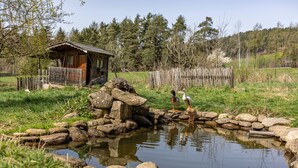 Ein rustikales Holzhaus mit Veranda, einem Teich mit Enten und einer bewaldeten Hügelkulisse im Hintergrund.