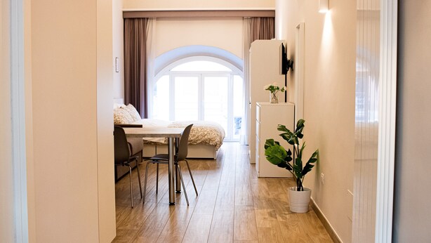 A narrow hallway leading to a bedroom with a bed, a dining table with chairs, a potted plant, and a refrigerator. - Apartment 'Special House' with Wi-Fi and Air Conditioning (Salerno)