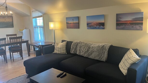 A living room with a black sofa, a coffee table, and a dining area with a table and chairs. There are wall-mounted paintings and a chandelier.
