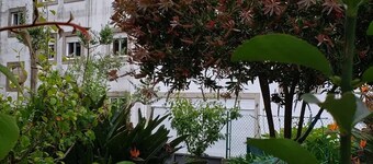 House Mariona - Estadia com Linda Vista em Frente ao Rio Coura