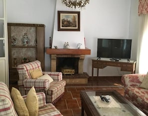 TV, fireplace
