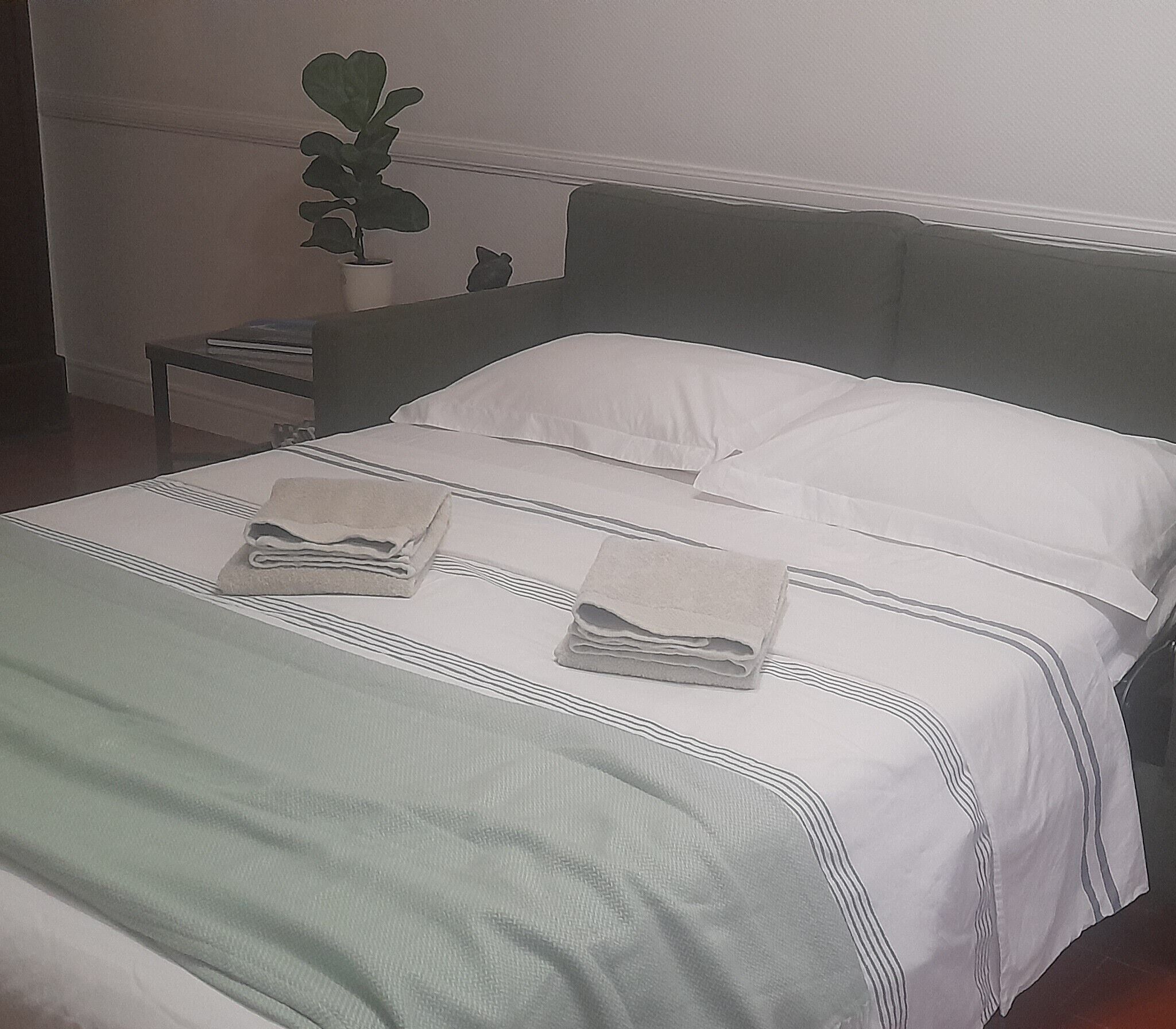 Una cama bien hecha con sábanas blancas y una manta verde, una mesita de noche con una lámpara y una planta en maceta en la pared.