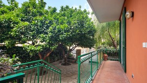 A covered outdoor area with a green metal railing, terracotta tiles, and lush green trees.