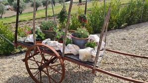 Un carro de jardín con macetas y piedras.
