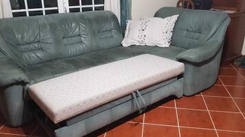 電視、壁爐、乒乓球設施