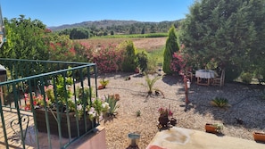 Ein Garten mit Blumentöpfen, einem Tisch und Stühlen.
