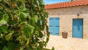 A stone building with two blue doors and a vine with green grapes. - Beautiful home in Sukosan (Sukosan)