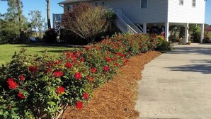 A two-story house with a covered porch and a front yard with red flowers. - Paradise 2.0 at North River  (Beaufort)