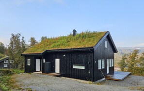 Ulkopuoli