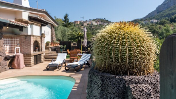 Zona de piscina con sillas de descanso, un cactus y un edificio con chimenea.