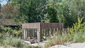 A modern beach house with a glass facade, surrounded by tall grasses and trees.
