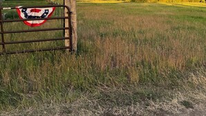 A rural landscape with a wooden gate, a field, and distant mountains. - Meadow View Tent Glamping (Tetonia)