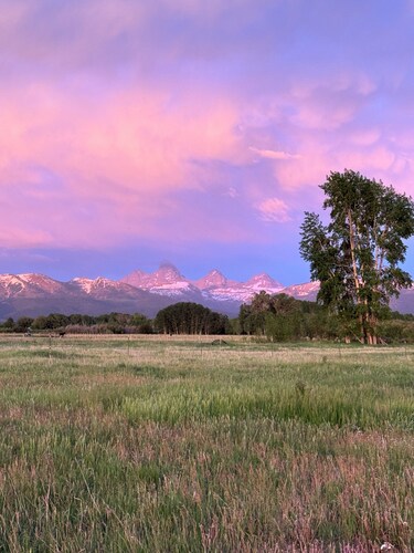 Meadow View Tent Glamping