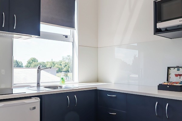 Deluxe Studio, 1 Queen Bed | Private kitchen | Fridge, microwave, stovetop, electric kettle