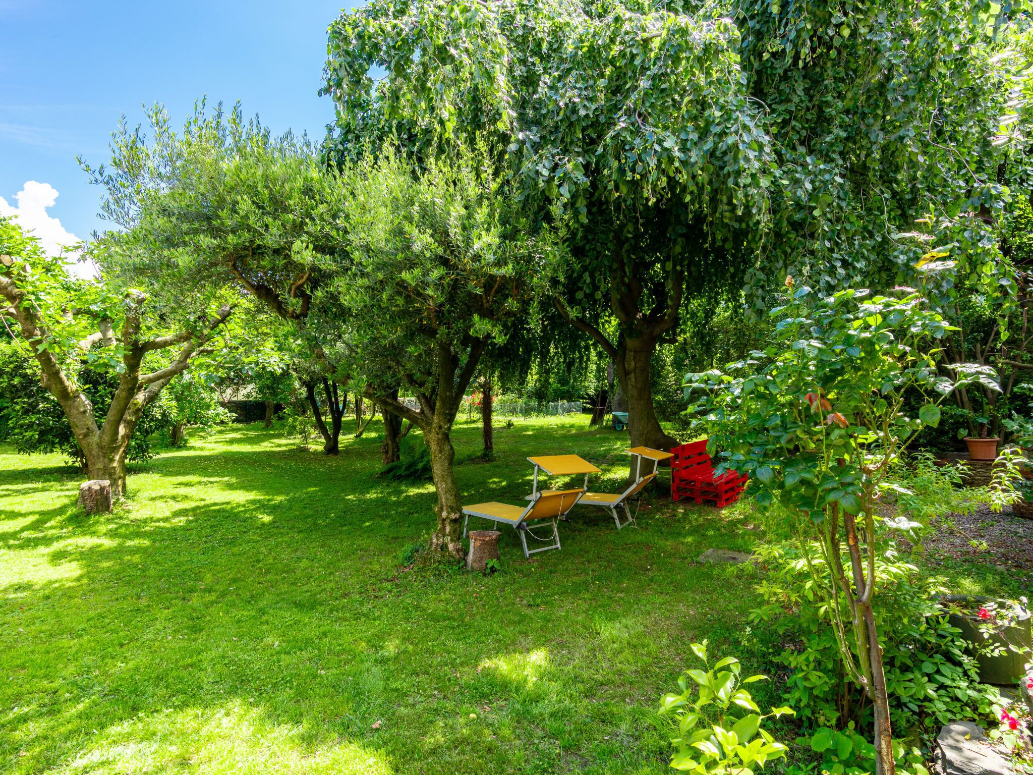 Un jardin luxuriant, avec une grande variété d’arbres et un petit espace aménagé avec une table et des chaises.