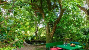 A garden with a stone pathway, a green bench with red cushions, and a table with a fruit plate and glasses. - Apartment Angela by Interhome (Dongo)