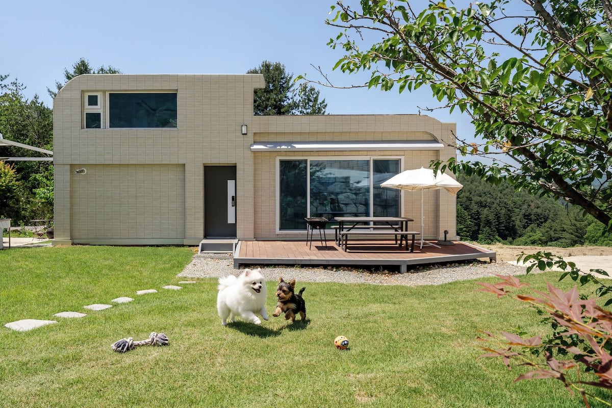 Una casa moderna de dos pisos con un patio, una caseta para perros y un pequeño jardín.