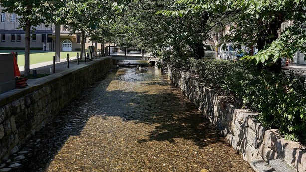 A narrow water channel flanked by stone walls and greenery, with buildings in the background.