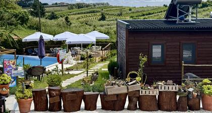 Villa’s Pomar do Moinho / A 5 minutos de Óbidos