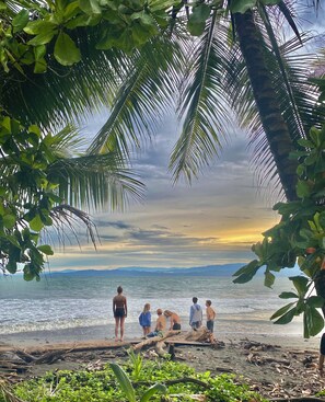 Beach - Casa Cucula - is totally awesome!  Bring the whole family, walk to the surf.   (Pavones)