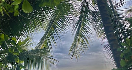 Casa Cucula - is totally awesome! Bring the whole family, walk to the surf.