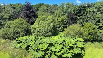 Honeymoon Suite | Garden view