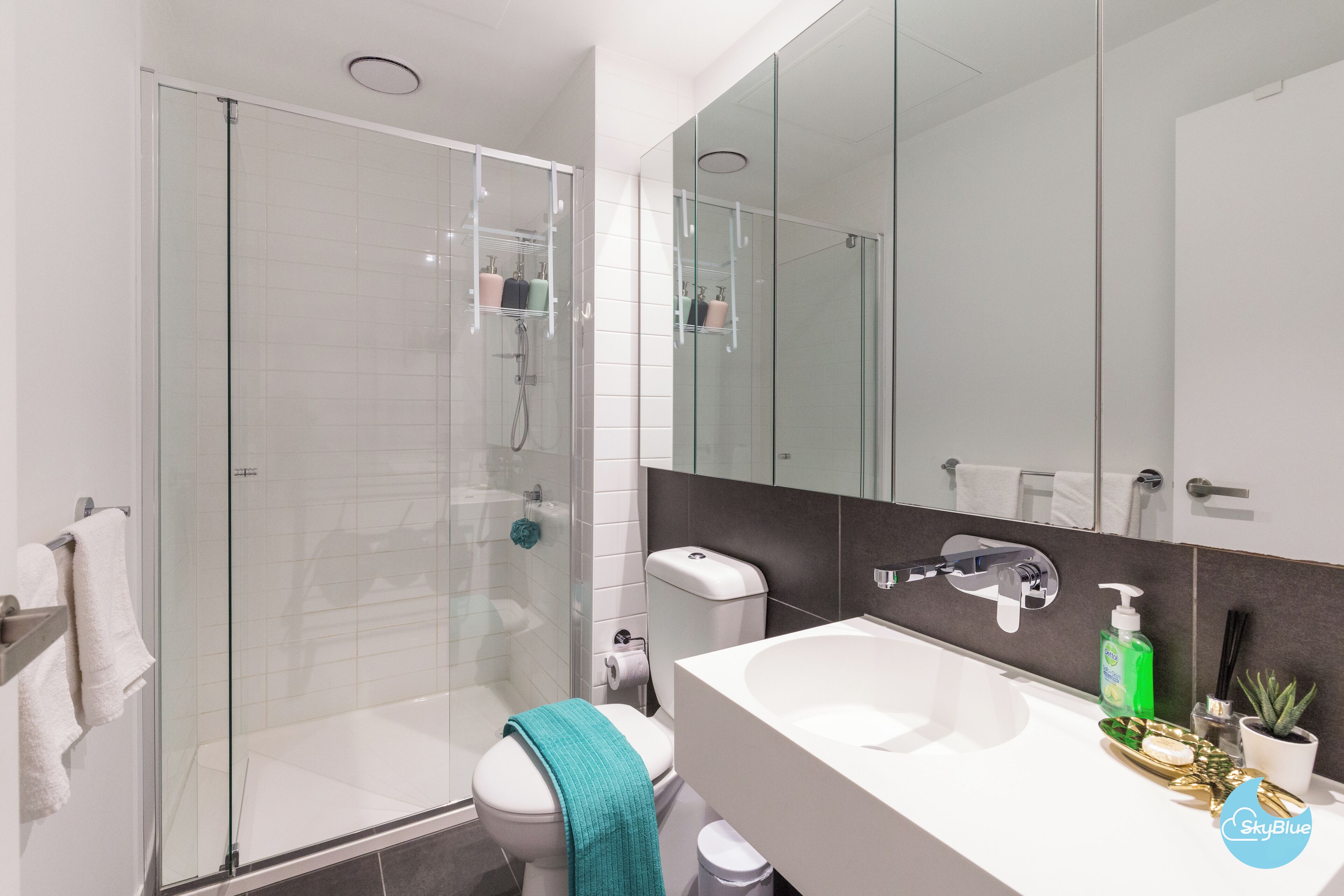 A modern bathroom with a glass-enclosed shower, a white sink, and a mirror above the sink.