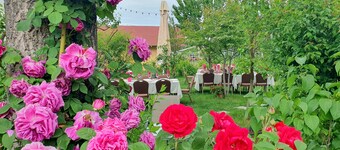 Cozy B&B next to the forest ,10 minutes to Dracula`s monastery !