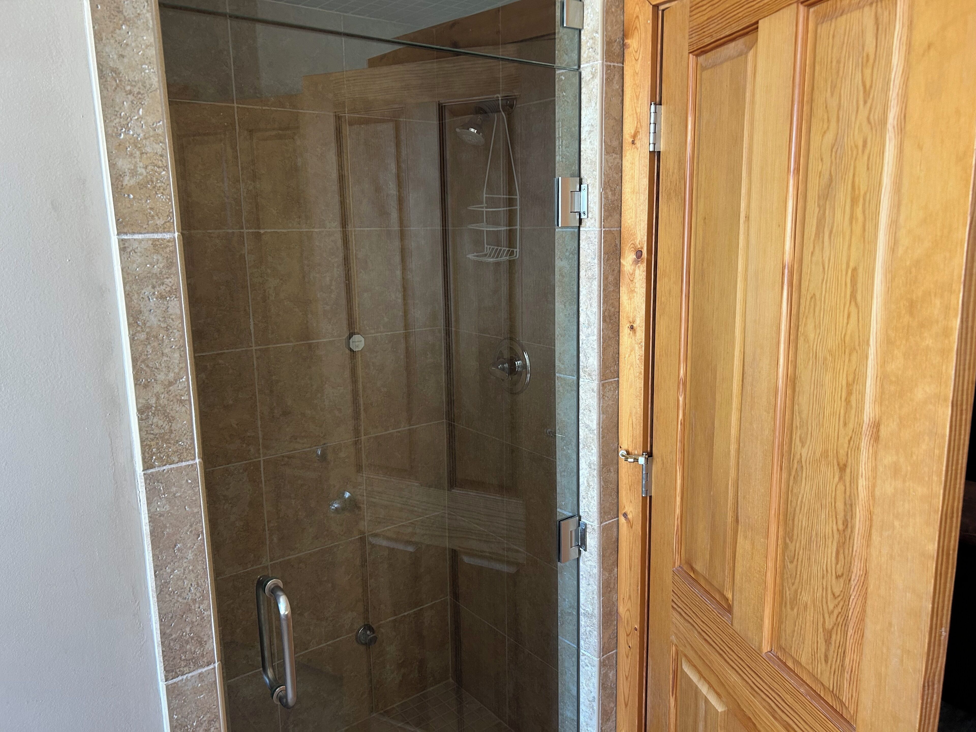 A shower area with a glass door, a wooden door to the right, and tiled walls.