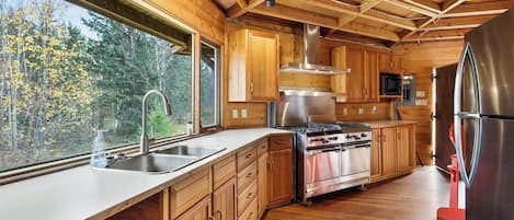 Oven, stovetop, dishwasher