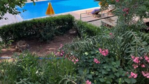 A swimming pool with lounge chairs and umbrellas, surrounded by greenery and trees.