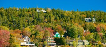 Woodland Apartments-Acadia National Park