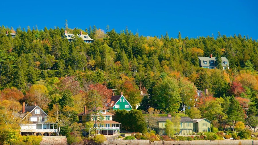 Woodland Apartments-Acadia National Park