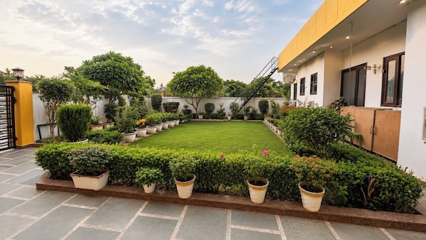 Lime Tree Studio Near Fortis Gurgaon - Gurugram