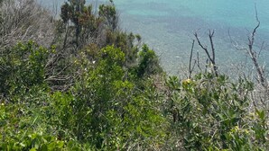 Un paysage côtier avec une plage, des eaux turquoise et limpides, et une colline boisée en arrière-plan.