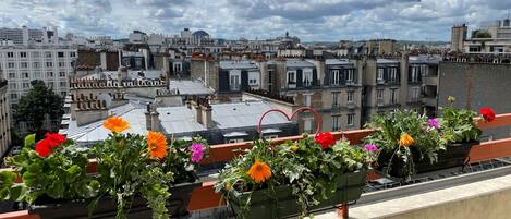 المنطقة المحيطة بالمنشأة