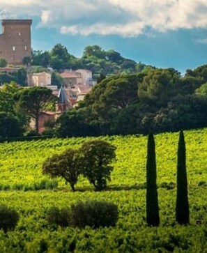 Perched atop a hill, this historic castle offers breathtaking views of the surrounding vineyards and lush greenery.