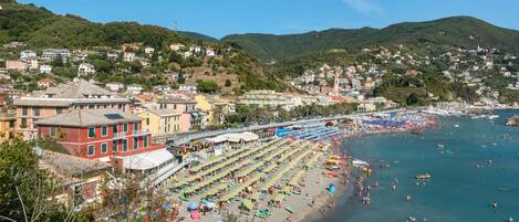 Appartement | 1 chambre