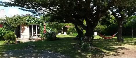 A house with a porch, a hammock, and a garden with a large tree.