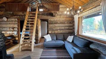 TV, fireplace, computer monitors